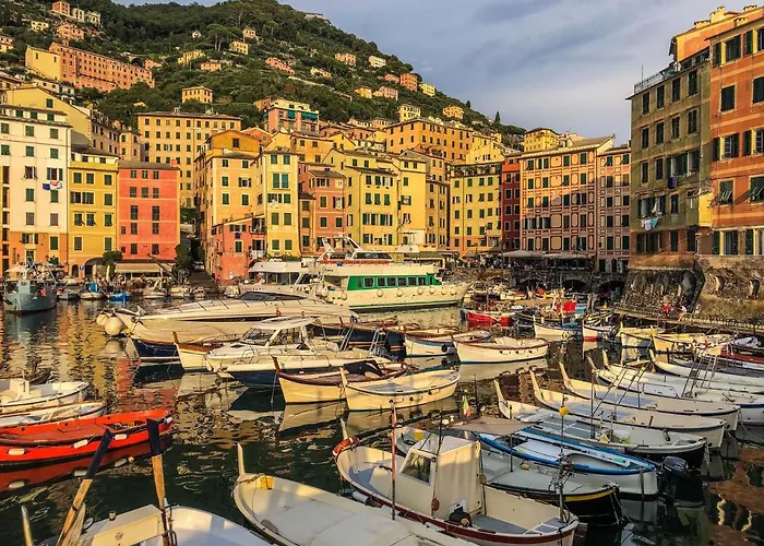 Golfoparadiso Bombon - Pellicceriasuperior