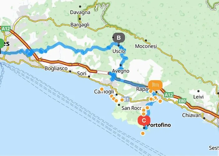 Golfoparadiso Bombon - Pellicceriasuperior *