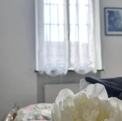 Golfoparadiso Bombon - Pellicceriasuperior